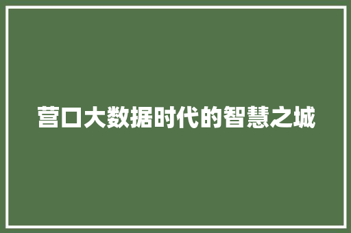 营口大数据时代的智慧之城