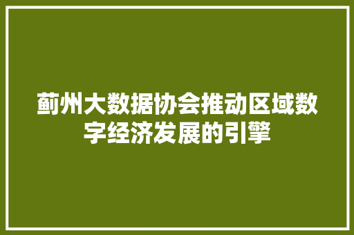 蓟州大数据协会推动区域数字经济发展的引擎