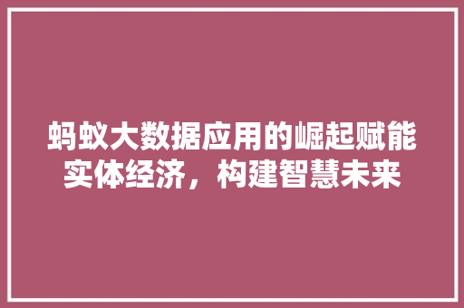 蚂蚁大数据应用的崛起赋能实体经济，构建智慧未来