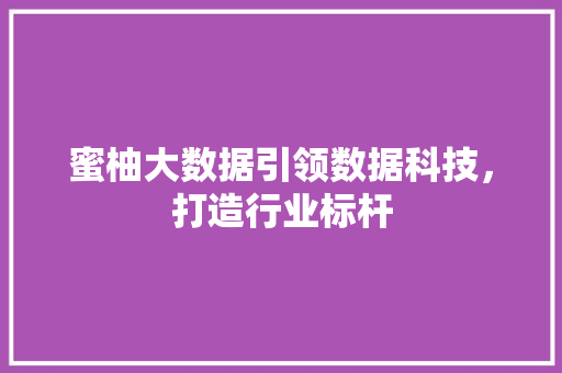 蜜柚大数据引领数据科技，打造行业标杆
