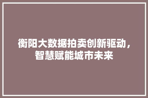 衡阳大数据拍卖创新驱动，智慧赋能城市未来 WordPress教程