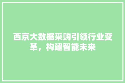 西京大数据采购引领行业变革，构建智能未来