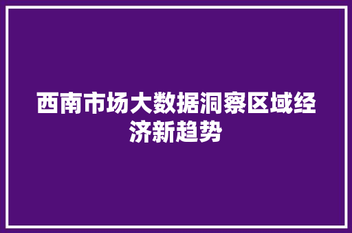西南市场大数据洞察区域经济新趋势