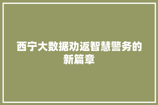 西宁大数据劝返智慧警务的新篇章 服务器/数据库