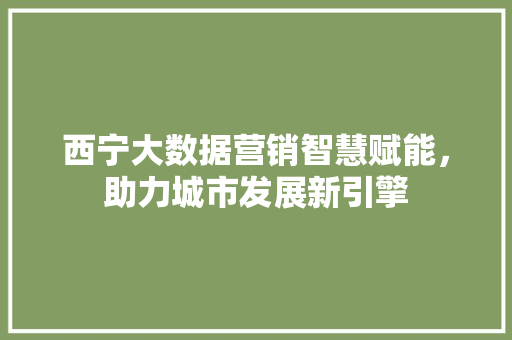 西宁大数据营销智慧赋能，助力城市发展新引擎 Web前端