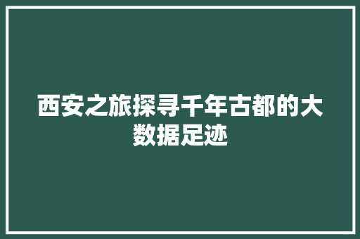 西安之旅探寻千年古都的大数据足迹 服务器/数据库