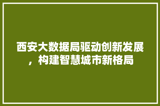 西安大数据局驱动创新发展，构建智慧城市新格局