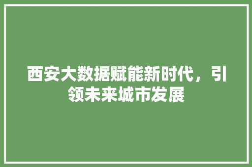 西安大数据赋能新时代，引领未来城市发展 WordPress教程