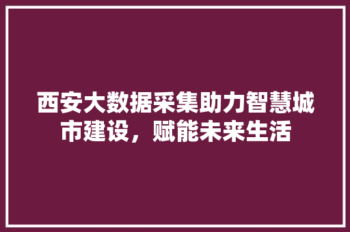 西安大数据采集助力智慧城市建设，赋能未来生活 SEO教程