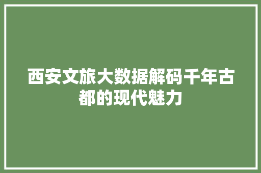 西安文旅大数据解码千年古都的现代魅力 服务器/数据库