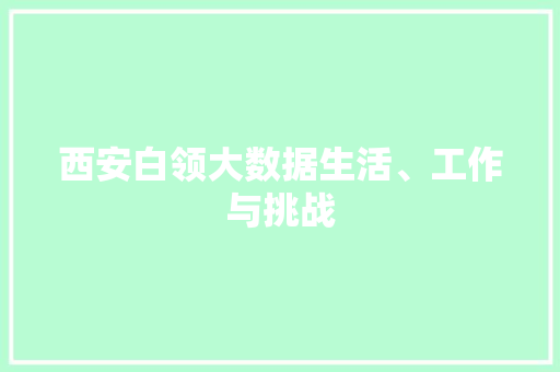 西安白领大数据生活、工作与挑战 SEO教程