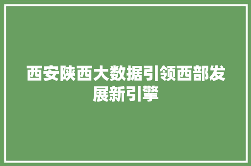 西安陕西大数据引领西部发展新引擎 友链在线