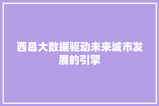 西昌大数据驱动未来城市发展的引擎 服务器/数据库