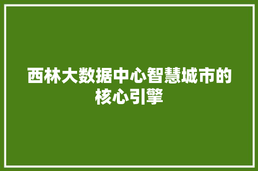 西林大数据中心智慧城市的核心引擎 友链在线
