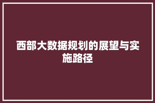 西部大数据规划的展望与实施路径