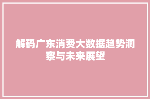 解码广东消费大数据趋势洞察与未来展望