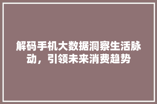 解码手机大数据洞察生活脉动，引领未来消费趋势 WordPress教程