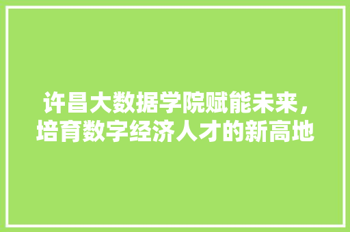 许昌大数据学院赋能未来，培育数字经济人才的新高地 建站教程