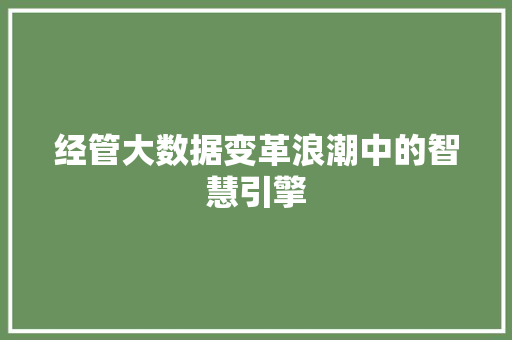经管大数据变革浪潮中的智慧引擎 Web前端
