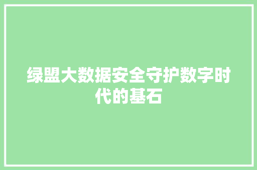 绿盟大数据安全守护数字时代的基石 友链在线