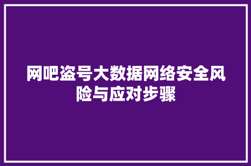网吧盗号大数据网络安全风险与应对步骤