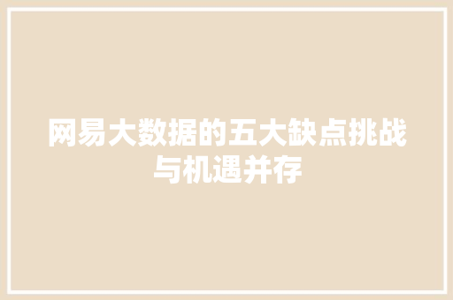 网易大数据的五大缺点挑战与机遇并存