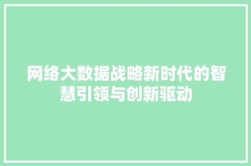 网络大数据战略新时代的智慧引领与创新驱动 SEO教程