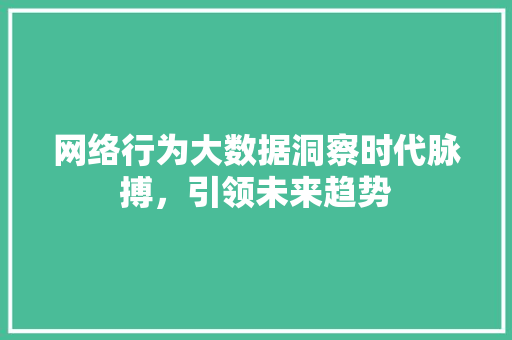 网络行为大数据洞察时代脉搏，引领未来趋势