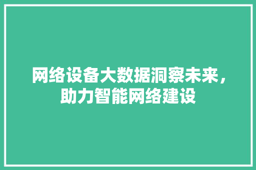 网络设备大数据洞察未来，助力智能网络建设 建站教程