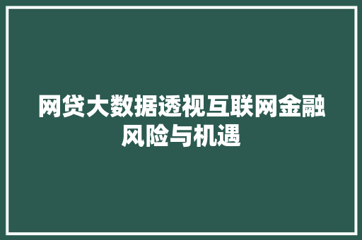 网贷大数据透视互联网金融风险与机遇