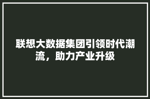 联想大数据集团引领时代潮流，助力产业升级 服务器/数据库