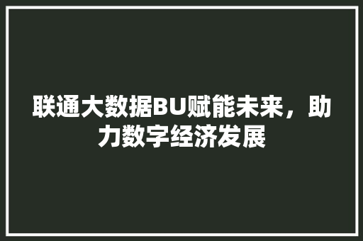 联通大数据BU赋能未来，助力数字经济发展 友链在线