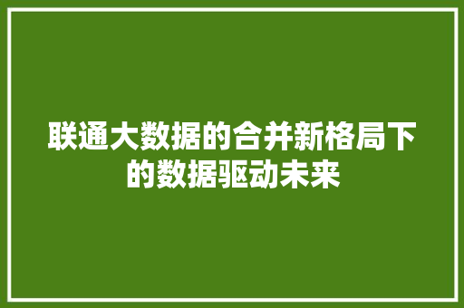联通大数据的合并新格局下的数据驱动未来