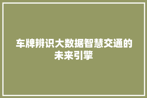 车牌辨识大数据智慧交通的未来引擎