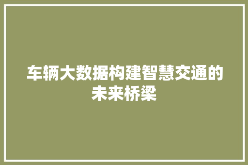 车辆大数据构建智慧交通的未来桥梁