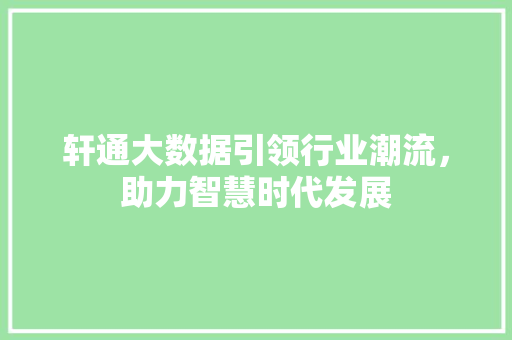 轩通大数据引领行业潮流，助力智慧时代发展