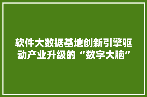 软件大数据基地创新引擎驱动产业升级的“数字大脑” WordPress教程
