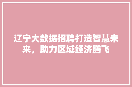 辽宁大数据招聘打造智慧未来，助力区域经济腾飞