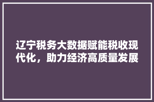 辽宁税务大数据赋能税收现代化，助力经济高质量发展