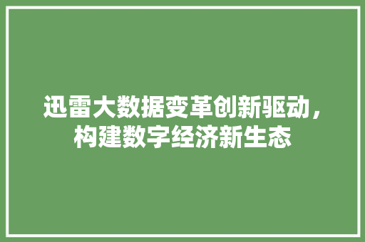 迅雷大数据变革创新驱动，构建数字经济新生态 友链在线