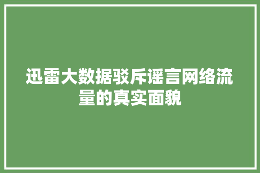 迅雷大数据驳斥谣言网络流量的真实面貌 SEO教程
