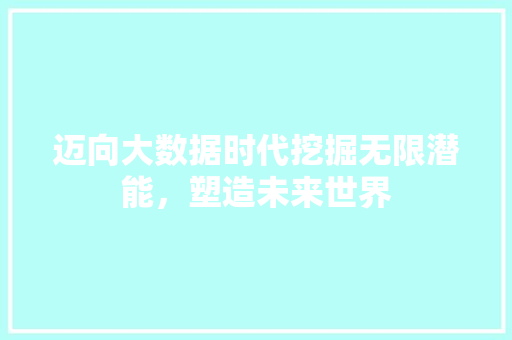 迈向大数据时代挖掘无限潜能，塑造未来世界 SEO教程