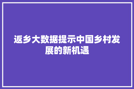 返乡大数据提示中国乡村发展的新机遇