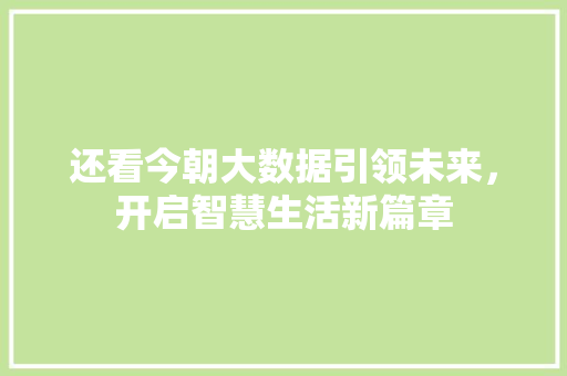 还看今朝大数据引领未来，开启智慧生活新篇章