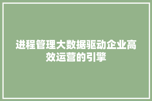 进程管理大数据驱动企业高效运营的引擎 服务器/数据库