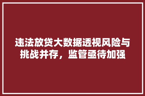 违法放贷大数据透视风险与挑战并存，监管亟待加强
