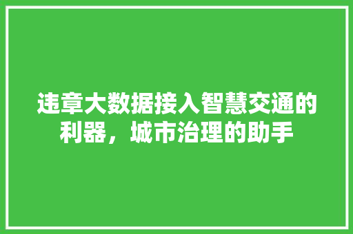 违章大数据接入智慧交通的利器，城市治理的助手