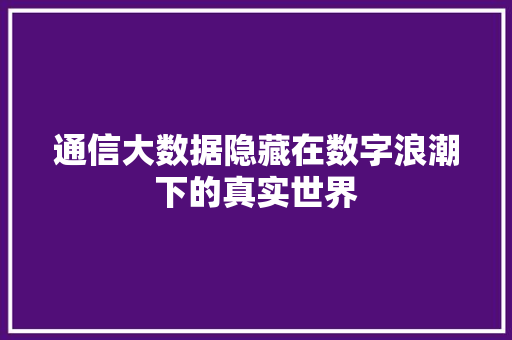 通信大数据隐藏在数字浪潮下的真实世界