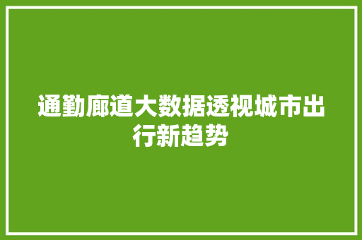 通勤廊道大数据透视城市出行新趋势