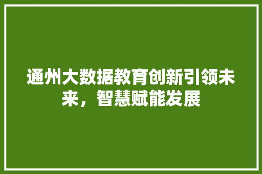 通州大数据教育创新引领未来，智慧赋能发展